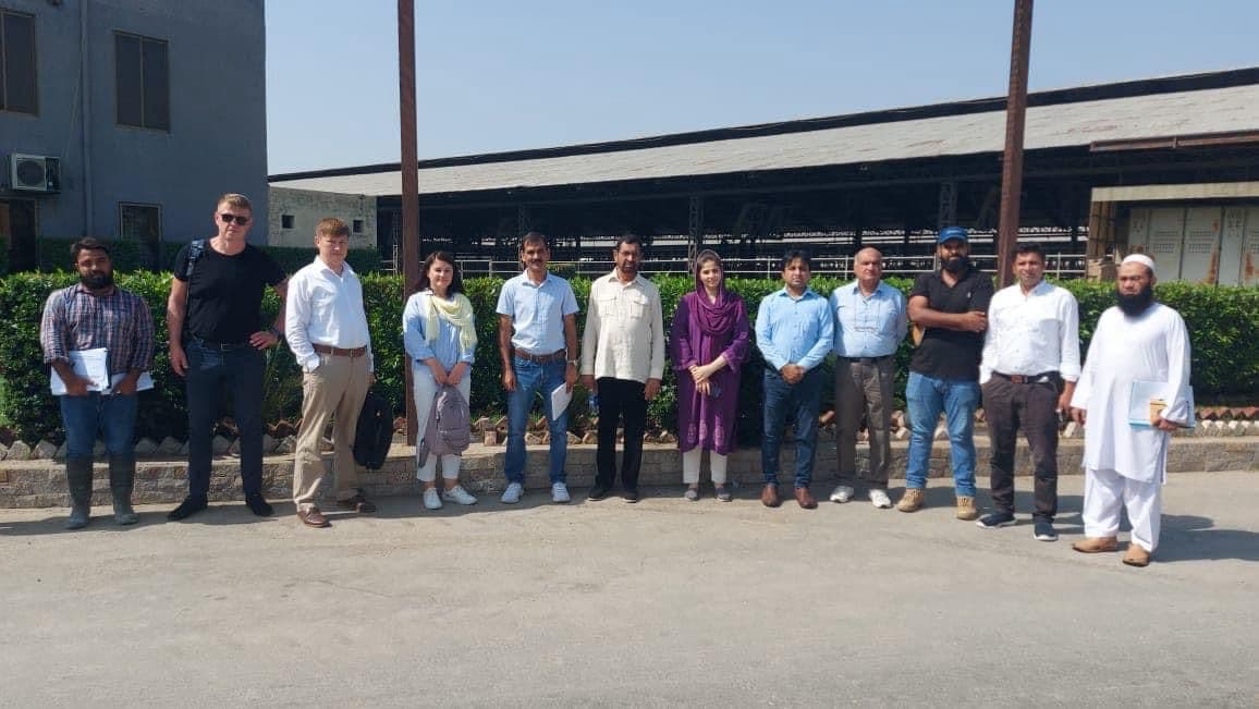 Mustafa Brothers Team