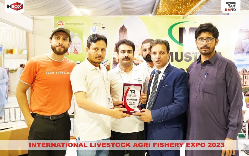 International livestock award
